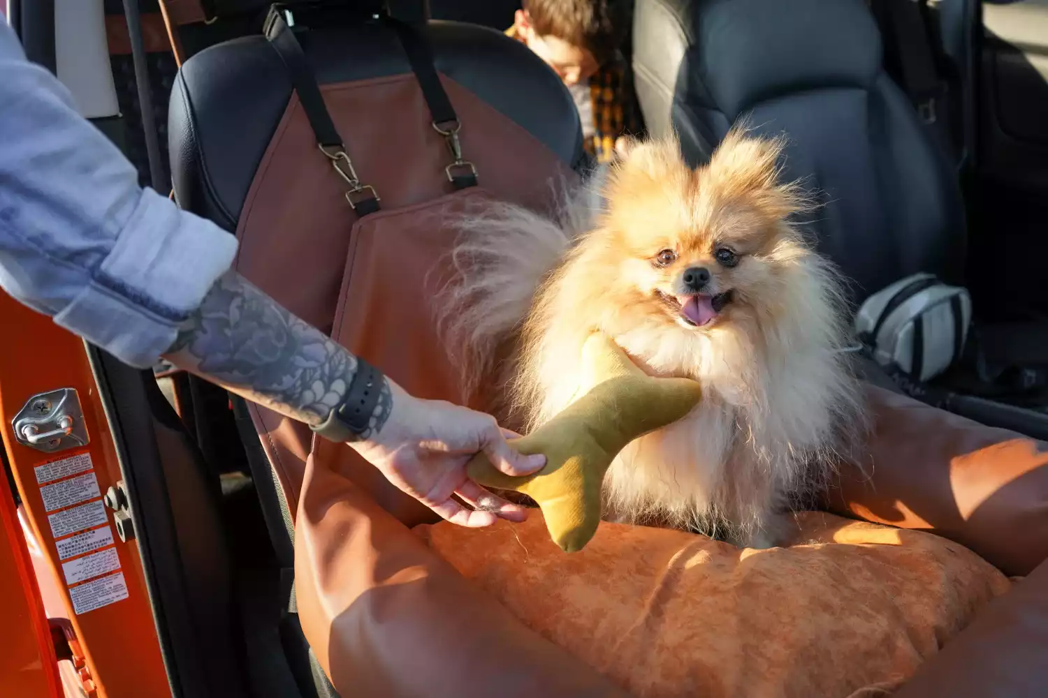 Japanese Chin Dog Car Seat for Ford Ranger
