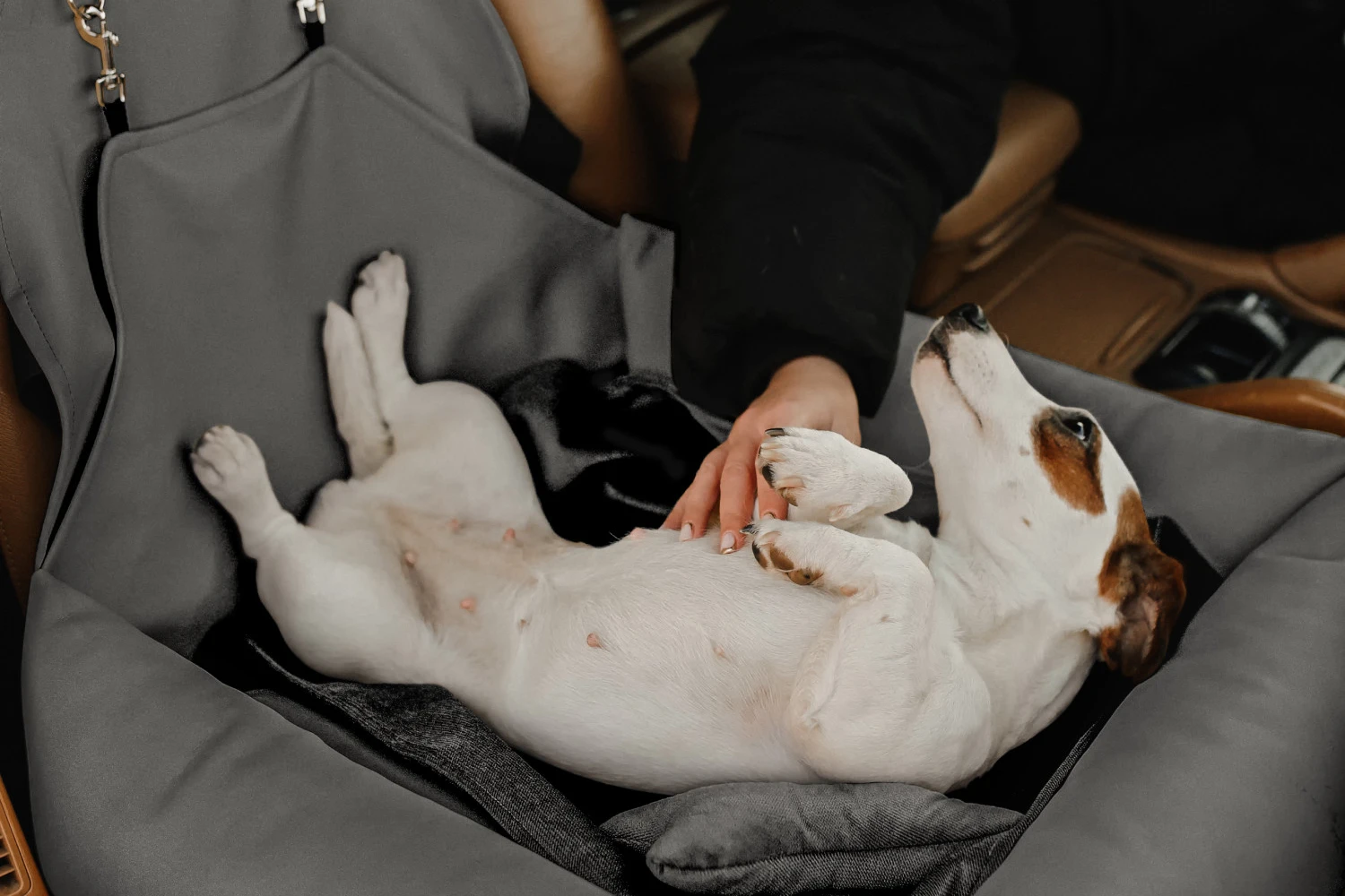 Dachshunds Dog Car Seat for Honda Civic
