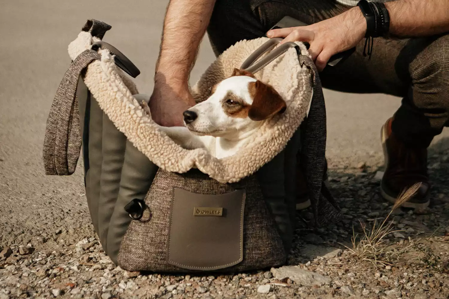 Border Terrier Dog Carrier Car Seat for Kia Soul