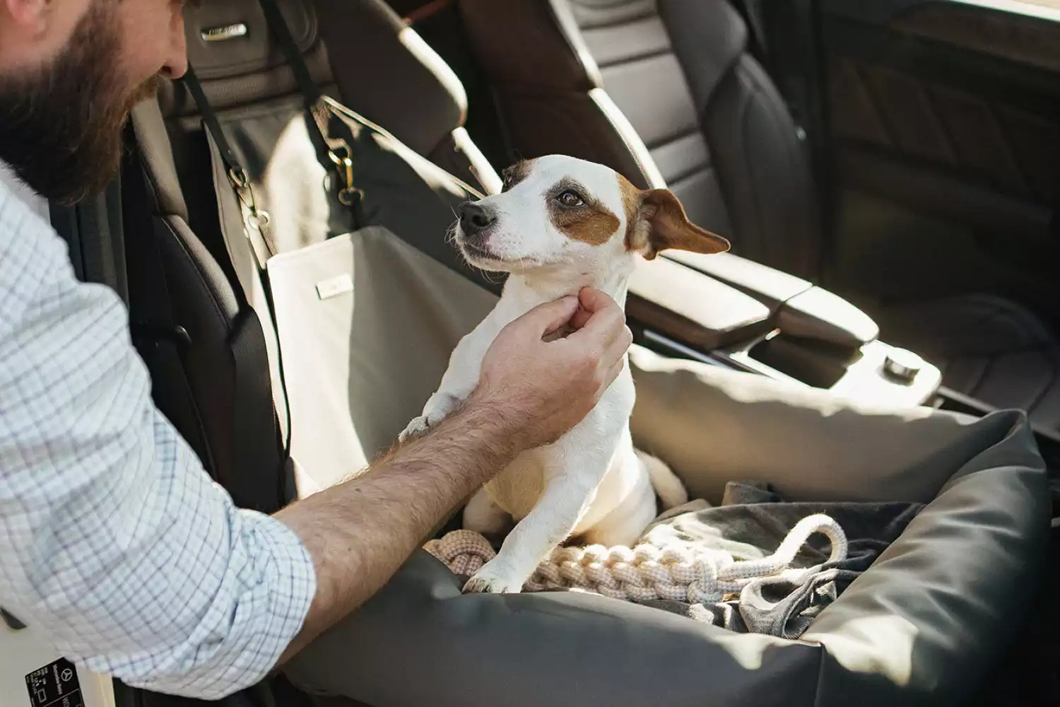 Hyundai Elantra Dog Car Seat for Pomeranians