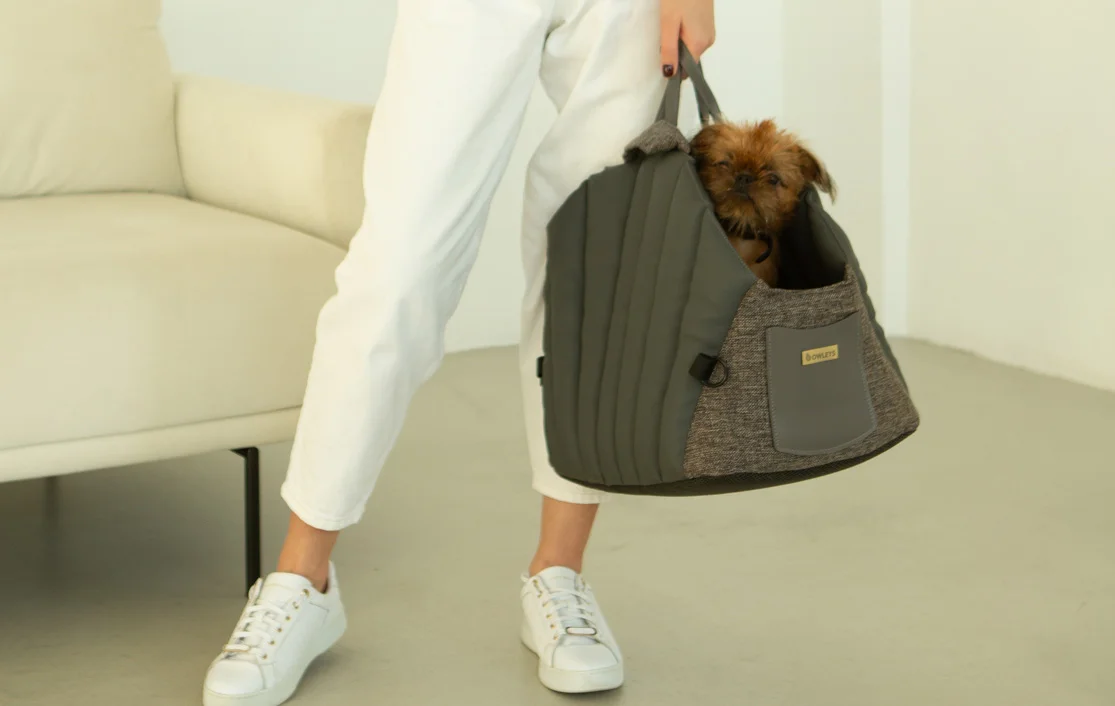 Dog Carrier Purse for Russell Terrier